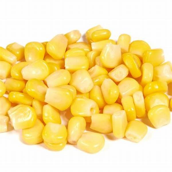 Frozen  Sweetcorn 1 Kg Packet