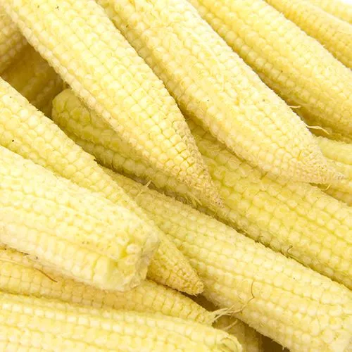 Fresh Babycorn Kg