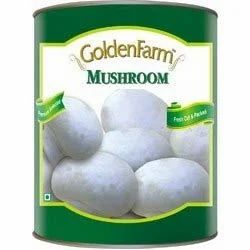 Mushroom Tins 800 Grams