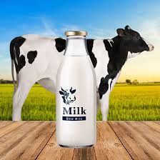 Cow Milk